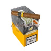 Best Cohiba Robustos Box 5x3 Cigar on top