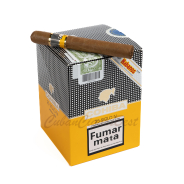 Best Cigar On Top