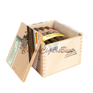 Punch Regios de Punch (Edición Limitada 2017)