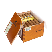 Cohiba Siglo VI 