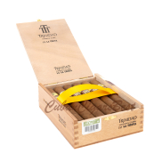 Trinidad La Trova (La Casa del Habano)