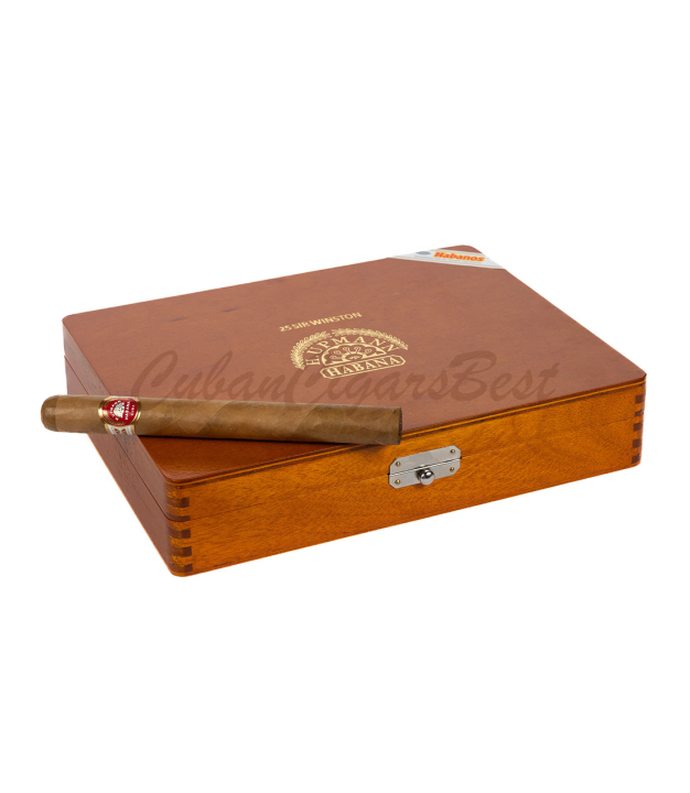 Best Cigar On Top
