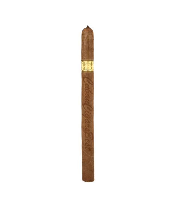 Trinidad Fundadores