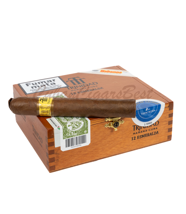 best cigar on top